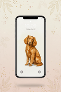 Golden Cockerdor iPhone Wallpaper Pinterest Mockup